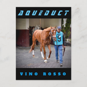 Vino Rosso - Paddock Postcard
