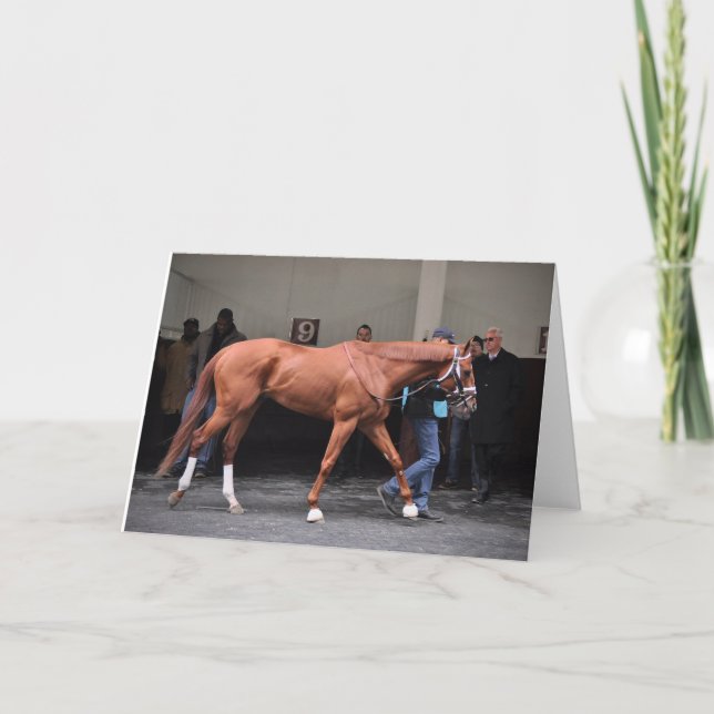 Vino Rosso - Todd Pletcher Card (Front)