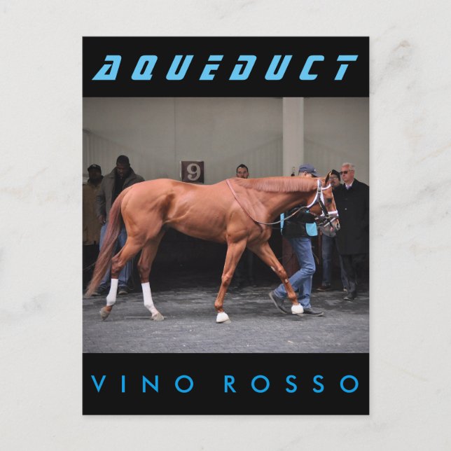 Vino Rosso - Todd Pletcher Postcard (Front)