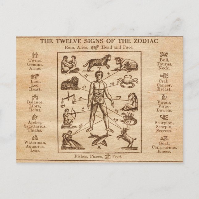 Vintage 12 Signs of the Zodiac Postcard (Front)