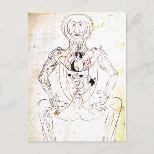Vintage 13th Century Persian Medical Front Anatomy Postcard