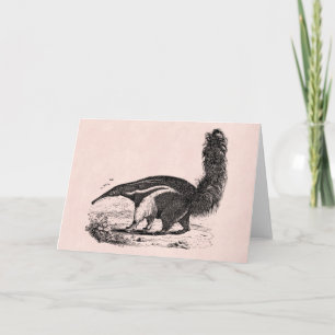 Vintage 1800s Aardvark Pink Retro Ant Eater Card