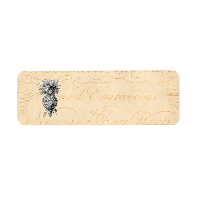 Vintage 1800s Ananas Illustration Botanique (Devant)