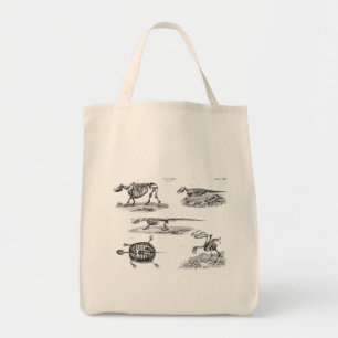 Vintage 1800s Animal Skeletons Antique Anatomy Tote Bag