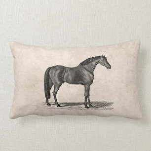 Vintage 1800s Arabian Horse Illustration - Horses Lumbar Pillow