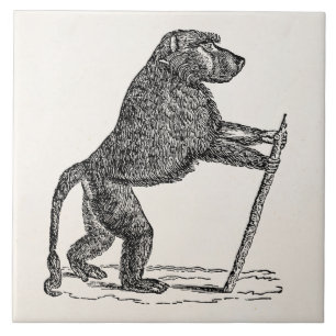 Vintage 1800s Baboon Walking Stick Monkey Baboons Tile