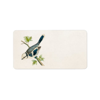 Vintage 1800s Blue Bird Songbird Birds Drawing Label