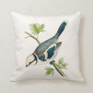 Vintage 1800s Blue Bird Songbird Birds Drawing Throw Pillow