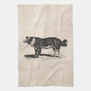 Vintage 1800s Border Collie Dog Illustration Kitchen Towel
