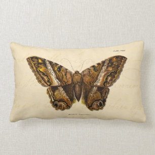 Vintage 1800s Brown Fuzzy Moth Template Butterfly Lumbar Pillow