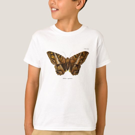Vintage 1800s Brown Fuzzy Moth Template Butterfly T-Shirt