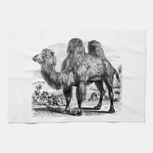 Vintage 1800s Camel - Egyptian Camels Template Kitchen Towel