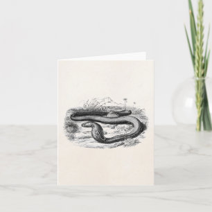 Vintage 1800s Cobra Snake Retro Cobras Drawing Card
