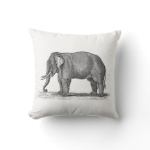 Vintage 1800s Elephant Illustration - Elephants