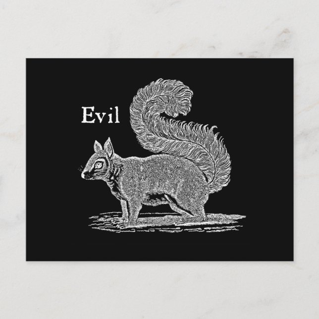Vintage 1800s Evil Squirrel Illustration Postcard (Front)