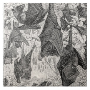 Vintage 1800s Flying Fox Bat Retro Template Bats Tile