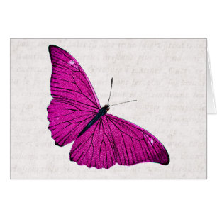 Vintage 1800s Fuchsia Hot Pink Butterfly Template