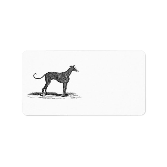 Vintage 1800s Greyhound Dog Illustration - Dogs Label (Front)