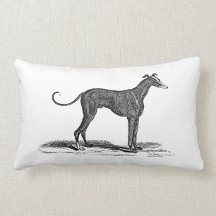 Vintage 1800s Greyhound Dog Illustration - Dogs Lumbar Pillow