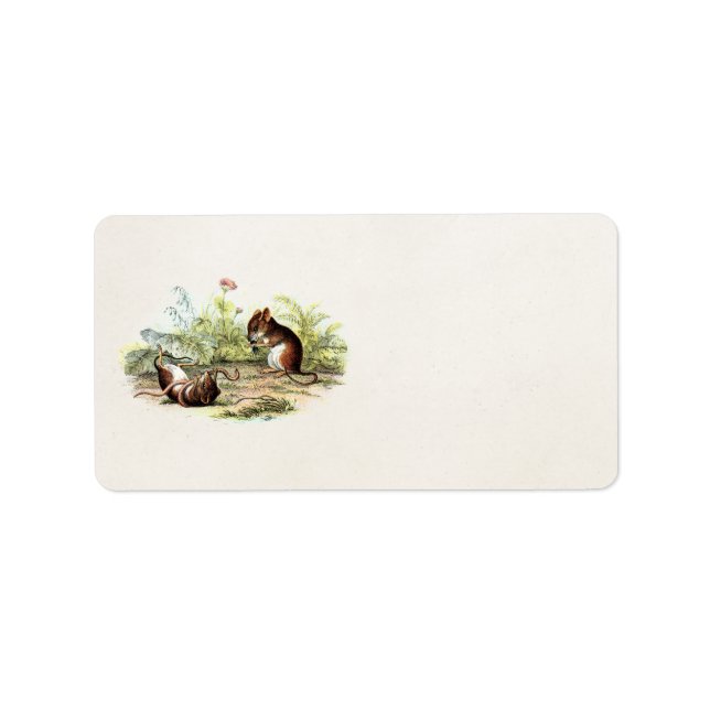 Vintage 1800s Harvest Mouse Illustration Mice Label (Front)