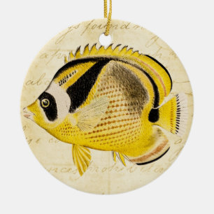 Vintage 1800s Hawaiian Butterfly Fish Illustration Ceramic Ornament