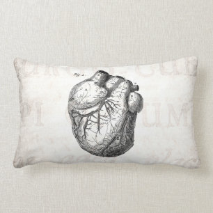 Vintage 1800s Heart Retro Cardiac Anatomy Hearts Lumbar Pillow