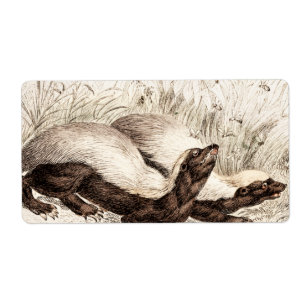 Vintage 1800s Honey Badger Bee Hive Template Retro