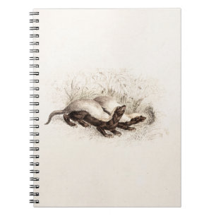 Vintage 1800s Honey Badger Bee Hive Template Retro Notebook