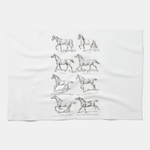 Vintage 1800s Horse Gaits Illustration Horses Kitchen Towel
