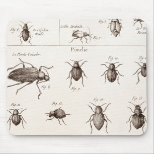 Vintage 1800s Insects Bugs Beetles Illustration Mouse Pad