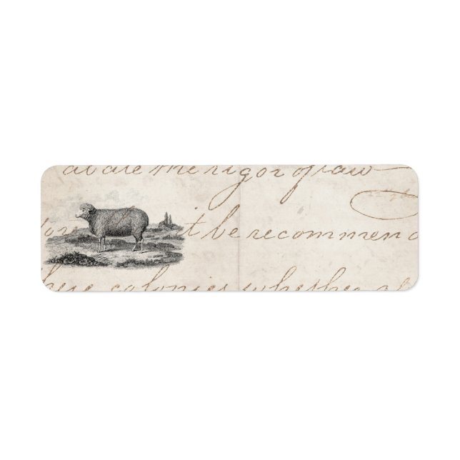 Vintage 1800s Merino Sheep Ewe Lamb Template (Front)