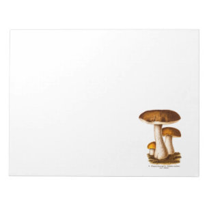 Vintage 1800s Mushroom Scaber Brown Mushrooms Notepad
