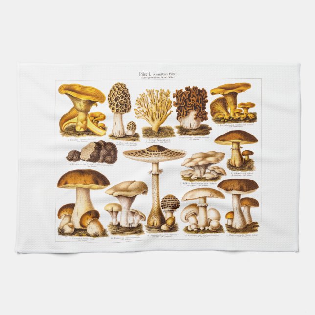 Vintage 1800s Mushroom Variety  Mushrooms Template Kitchen Towel (Horizontal)