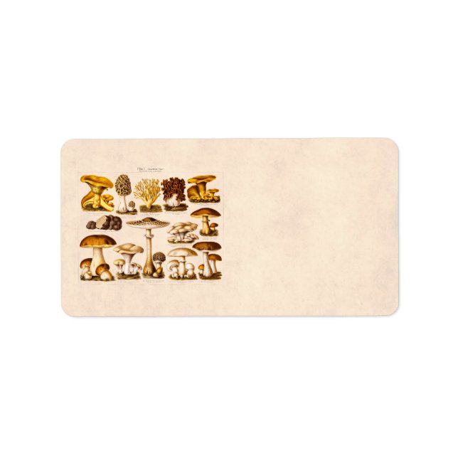 Vintage 1800s Mushroom Variety  Mushrooms Template Label (Front)