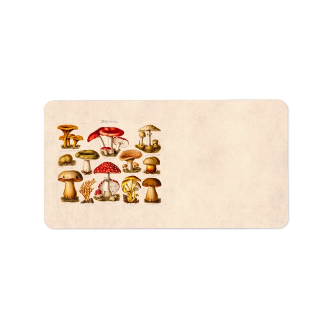 Vintage 1800s Mushroom Variety Red Mushrooms Label (Front)