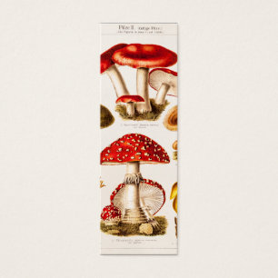 Vintage 1800s Mushroom Variety Template