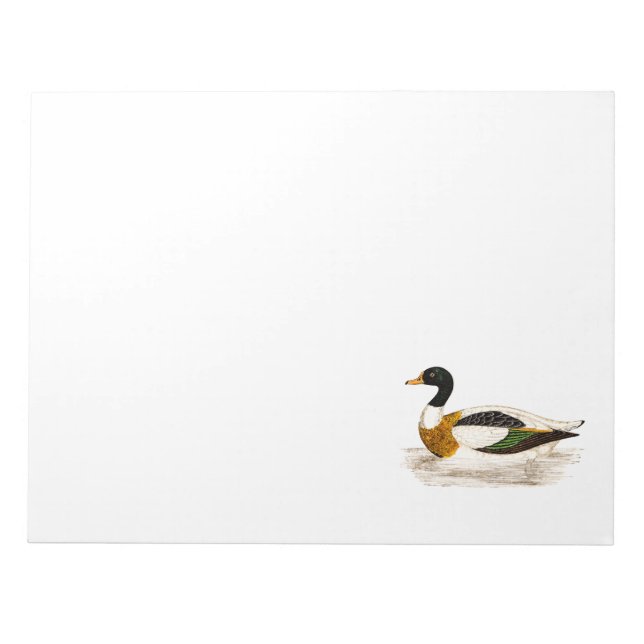 Vintage 1800s Old Drake Duck Illustration - Ducks Notepad (Front)