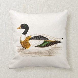 Vintage 1800s Old Drake Duck Illustration - Ducks Throw Pillow