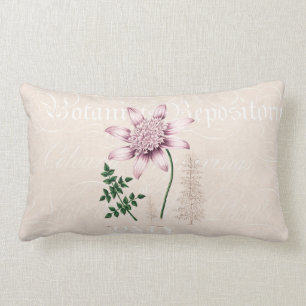 Vintage 1800s Pink Dahlia Flower Dahlias Floral Lumbar Pillow
