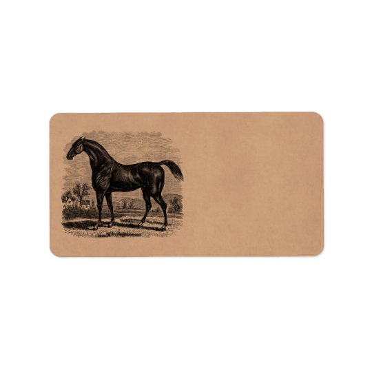 Vintage 1800s Race Horse Retro Thoroughbred Horses