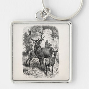 Vintage 1800s Red Deer Illustration Stag Doe Fawn Keychain