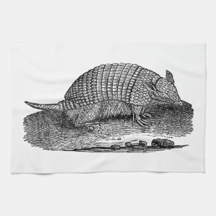 Vintage 1800s Retro Armadillo Antique Armadillos Kitchen Towel
