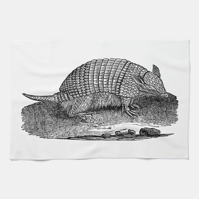 Vintage 1800s Retro Armadillo Antique Armadillos Kitchen Towel (Horizontal)