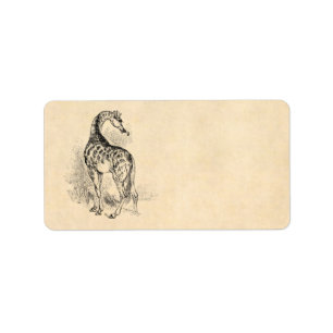 Vintage 1800s Retro Giraffe Illustration Parchmen Label