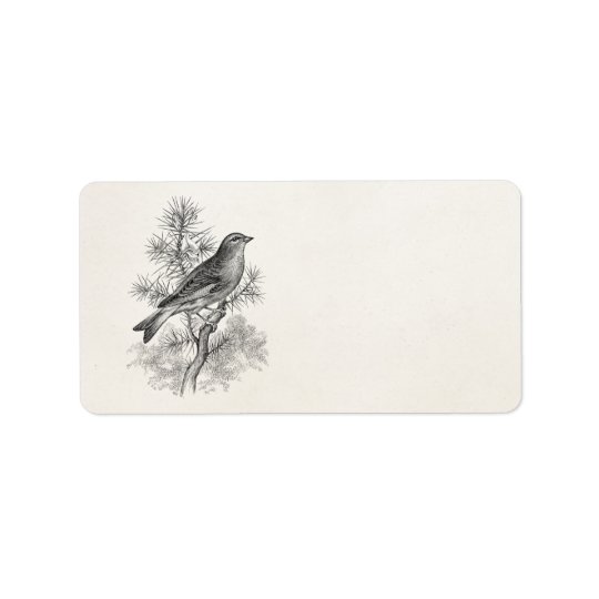Vintage 1800s Rose Linnet Song Bird Finch Birds