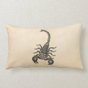 Vintage 1800s Scorpion Illustration - Scorpions Lumbar Pillow