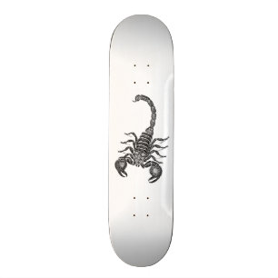 Vintage 1800s Scorpion Illustration - Scorpions Skateboard
