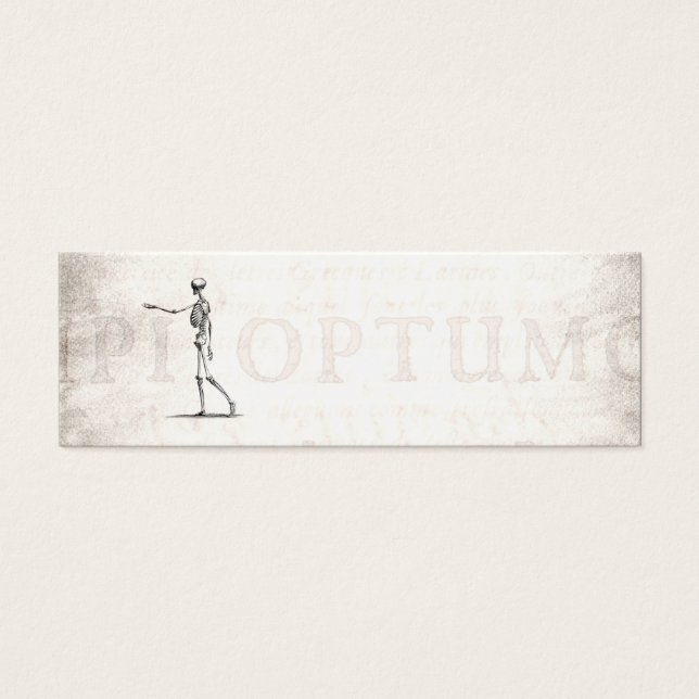 Vintage 1800s Skeleton Antique Anatomy Skeletons (Front)