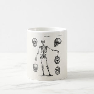 Vintage 1800s Skeleton Antique Anatomy Skeletons Coffee Mug