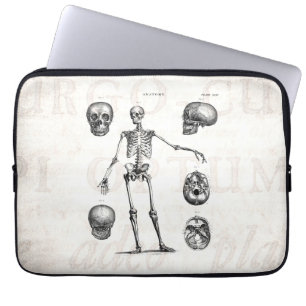 Vintage 1800s Skeleton Antique Anatomy Skeletons Laptop Sleeve